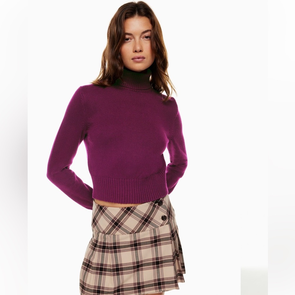 Aritzia Sunday Best Treasure Turtleneck